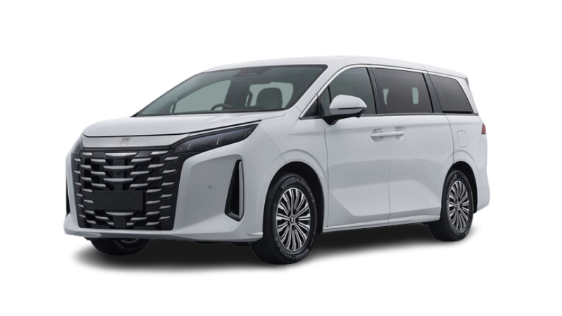 BYD M9